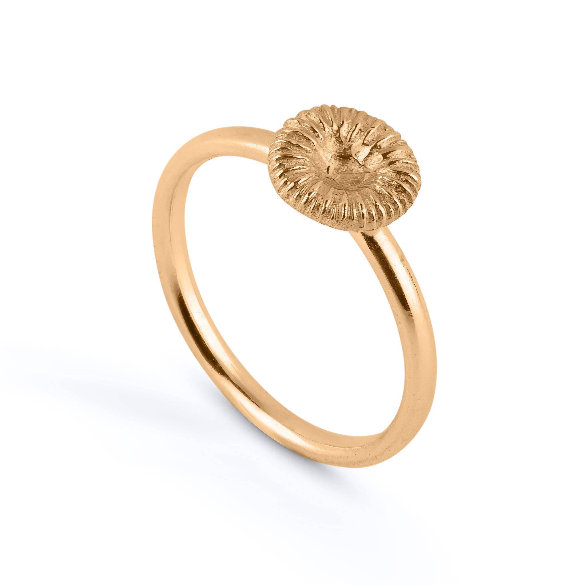 Knappkorall mellan - Ring