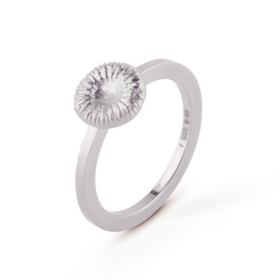 Knappkorall ring i silver med fossil design