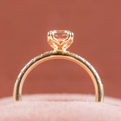 Morganitring